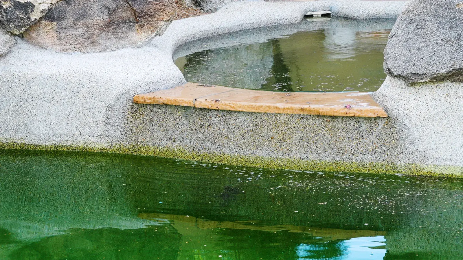 1600x900_WaterEdge_GreenPool